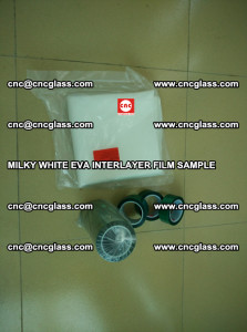 EVAVISION MILKY WHITE EVA INTERLAYER FILM SAMPLE (18)