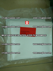 EVAVISION MILKY WHITE EVA INTERLAYER FILM SAMPLE (2)