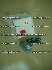 EVAVISION MILKY WHITE EVA INTERLAYER FILM SAMPLE (21)