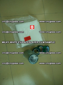 EVAVISION MILKY WHITE EVA INTERLAYER FILM SAMPLE (22)