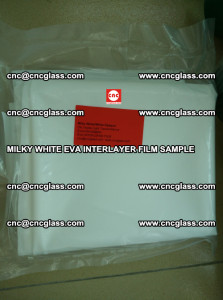 EVAVISION MILKY WHITE EVA INTERLAYER FILM SAMPLE (6)